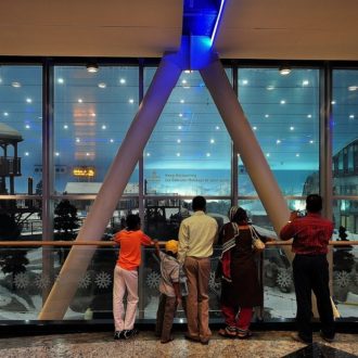 12191326 1055297204494124 5688081870770615225 o