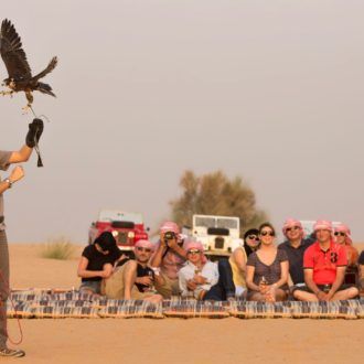 Heritage Desert Safari Dubai2570 (1)