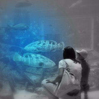 sehenswuerdigkeiten-dubai-atlantis-hotel-palmeninsel-jumeirah