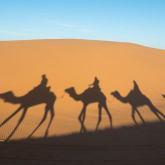 shutterstock_244480456